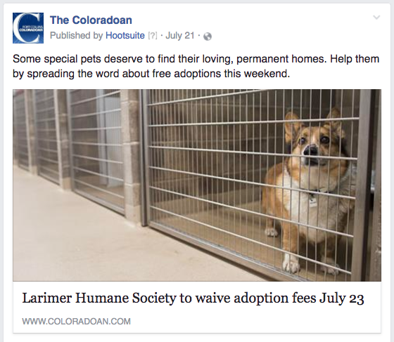 CO pet adoptions