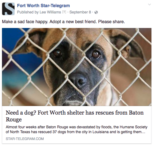 FW Baton Rouge dogs