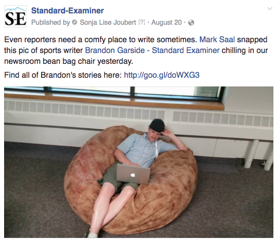 Ogden reporter bag chair