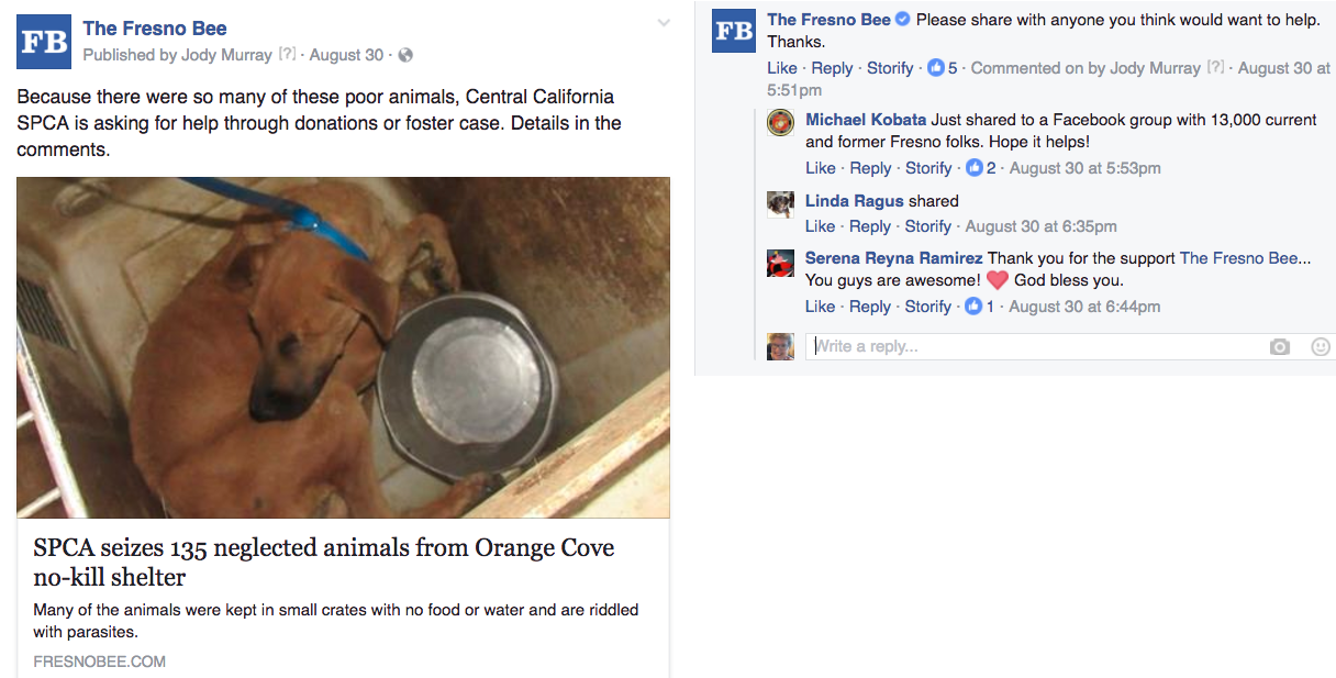 Fresno foster animals